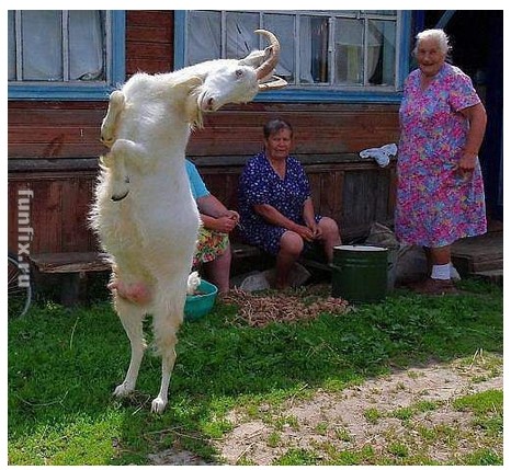 Танец радости